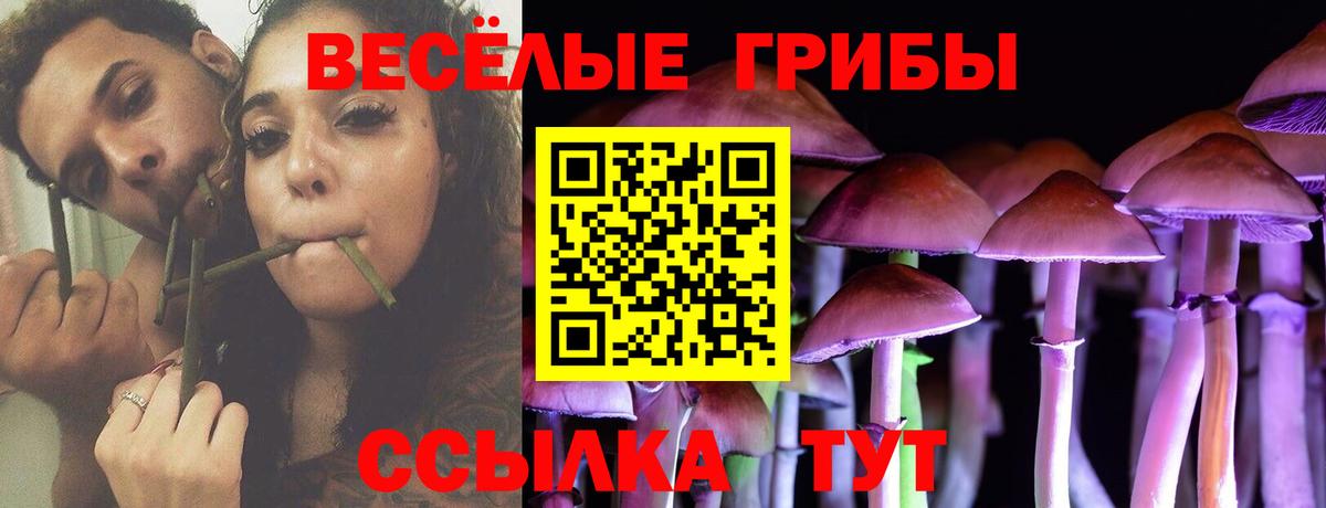 Среднеуральск  сколько стоит  Вход с VPN  Псилоцибиновые грибы мицелий 